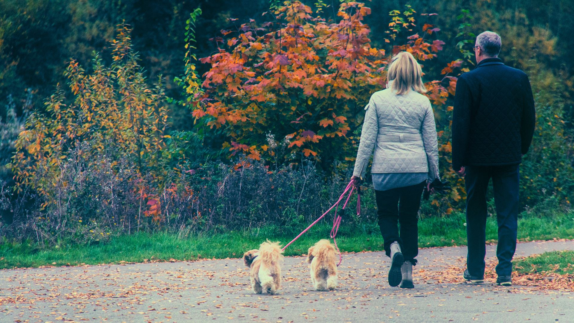 walking
